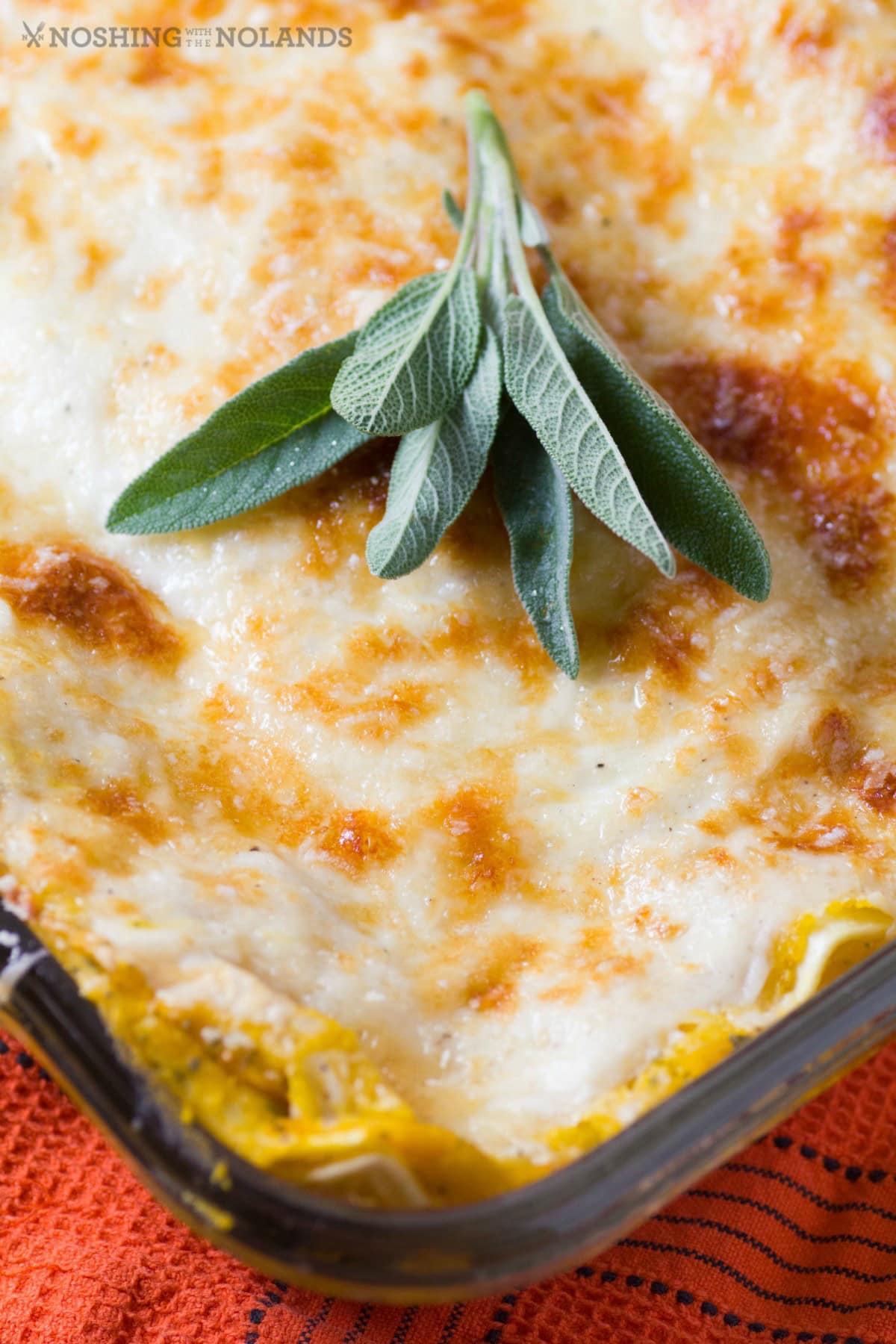 These 32 Amazing Thanksgiving/Holiday Sides will be your go to roundup for all your side dishes for family and friend celebrations for the season. Hot out of the oven Sage Havarti Butternut Squash Lasagna.