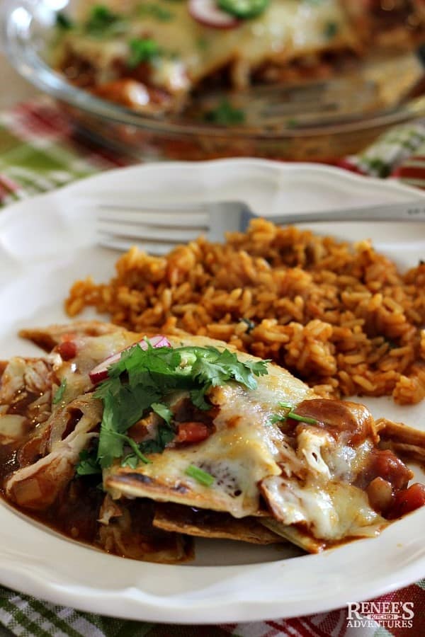 EASY CHILAQUILES  on a white plate with rice