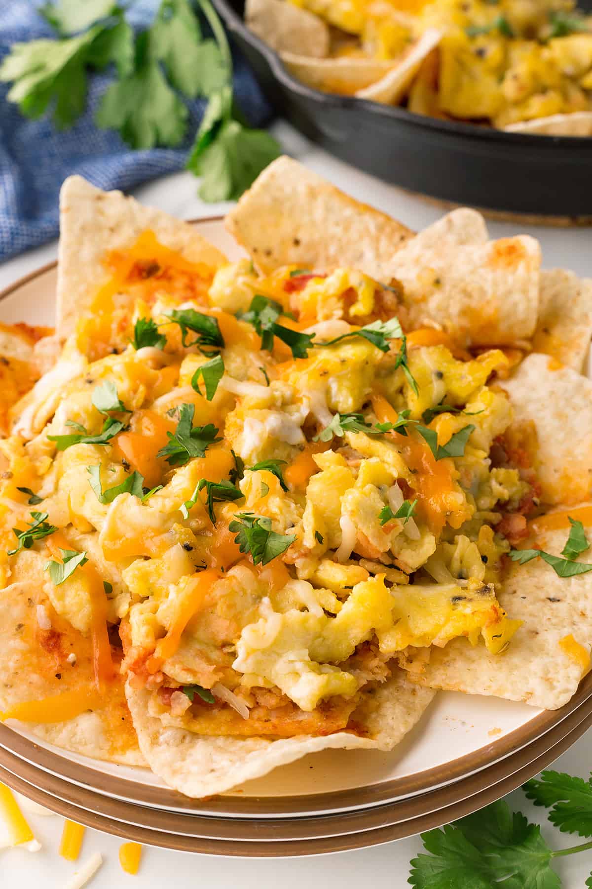 Cheesy and flavorful scrambled eggs adorn the top of crispy tortilla chips to make an unforgettable breakfast or brunch. Chilaquiles with scrambled eggs on a plate.