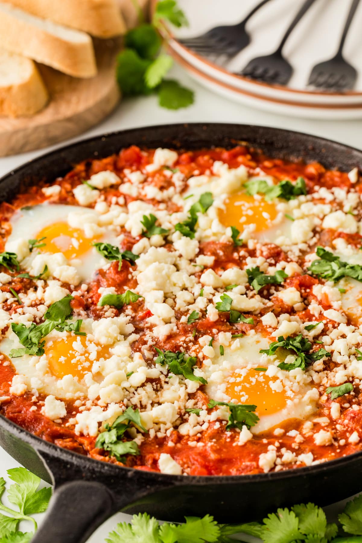 The Shakshuka Recipe is the best. Bursting with flavors, you will never believe that these simple ingredients can have so much flavor. Perfect for breakfast to dinner meals. Front view of shakshuka in a cast iron pan.