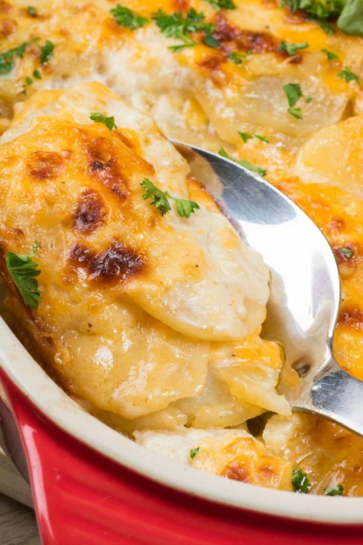 These 32 Amazing Thanksgiving/Holiday Sides will be your go to roundup for all your side dishes for family and friend celebrations for the season. Serving of cheesy scalloped potatoes being removed from a casserole dish with a serving spoon.