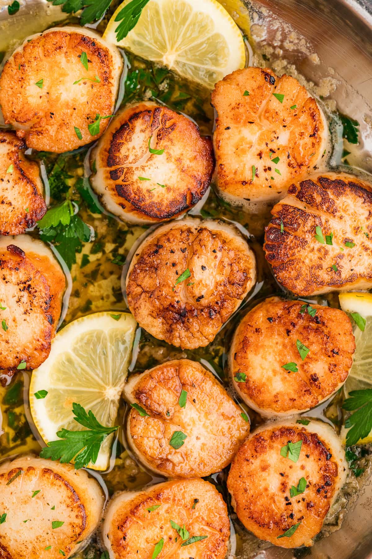 This recipe for Perfect Pan Seared Scallops will have you diving into this recipe for an appetizer or main course. They are sexy and delicious to serve to your loved one. Close-up of Seared Scallop Recipe.